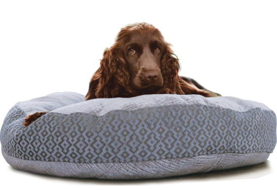 Velvet Dog Bed Large Blue Grey Luxury – Julie London
