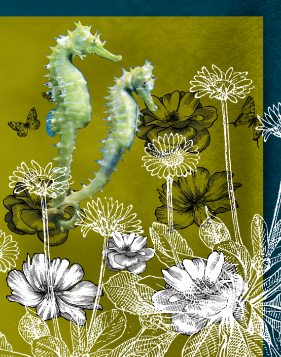 eGift Card seahorse swirl – Julie London