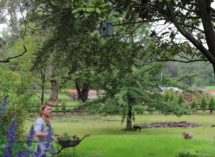 Bowral nsw dog beds